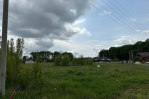 Земельна ділянка сільськогосподарського призначення в Іванківцях, площа 10 соток фото 2