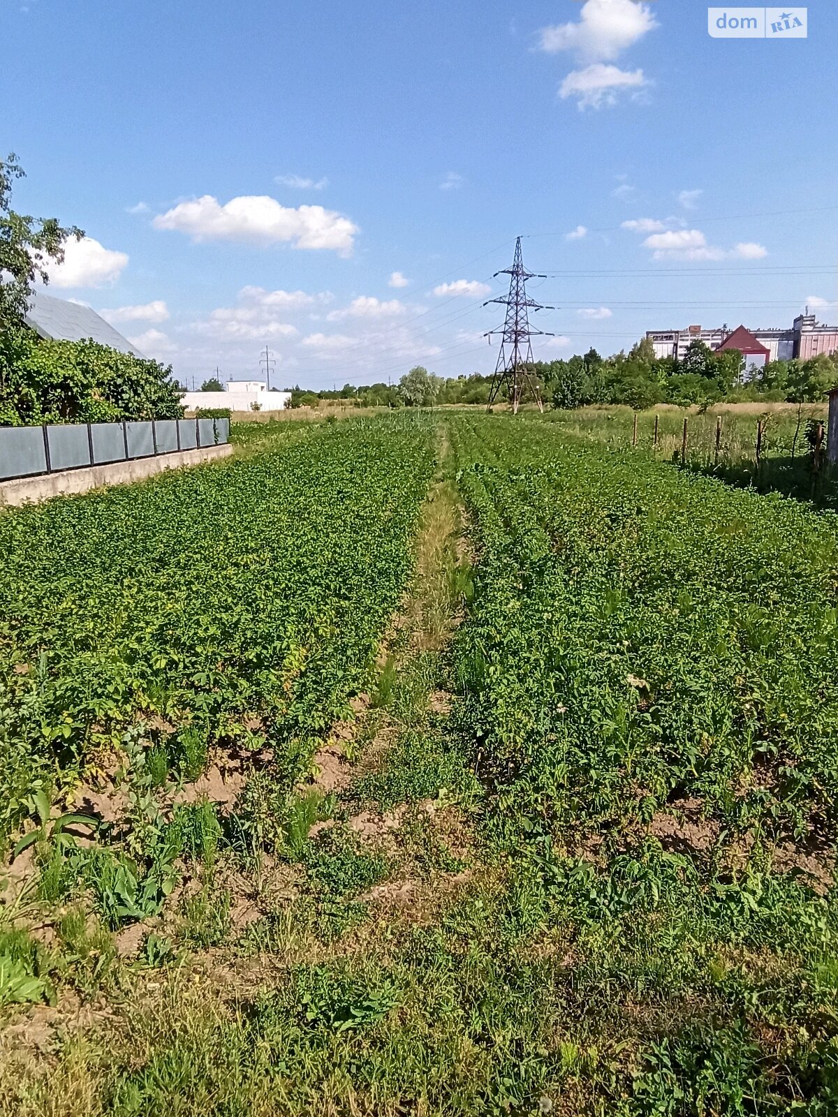 Земельный участок сельскохозяйственного назначения в Никитинцах, площадь 10 соток фото 1