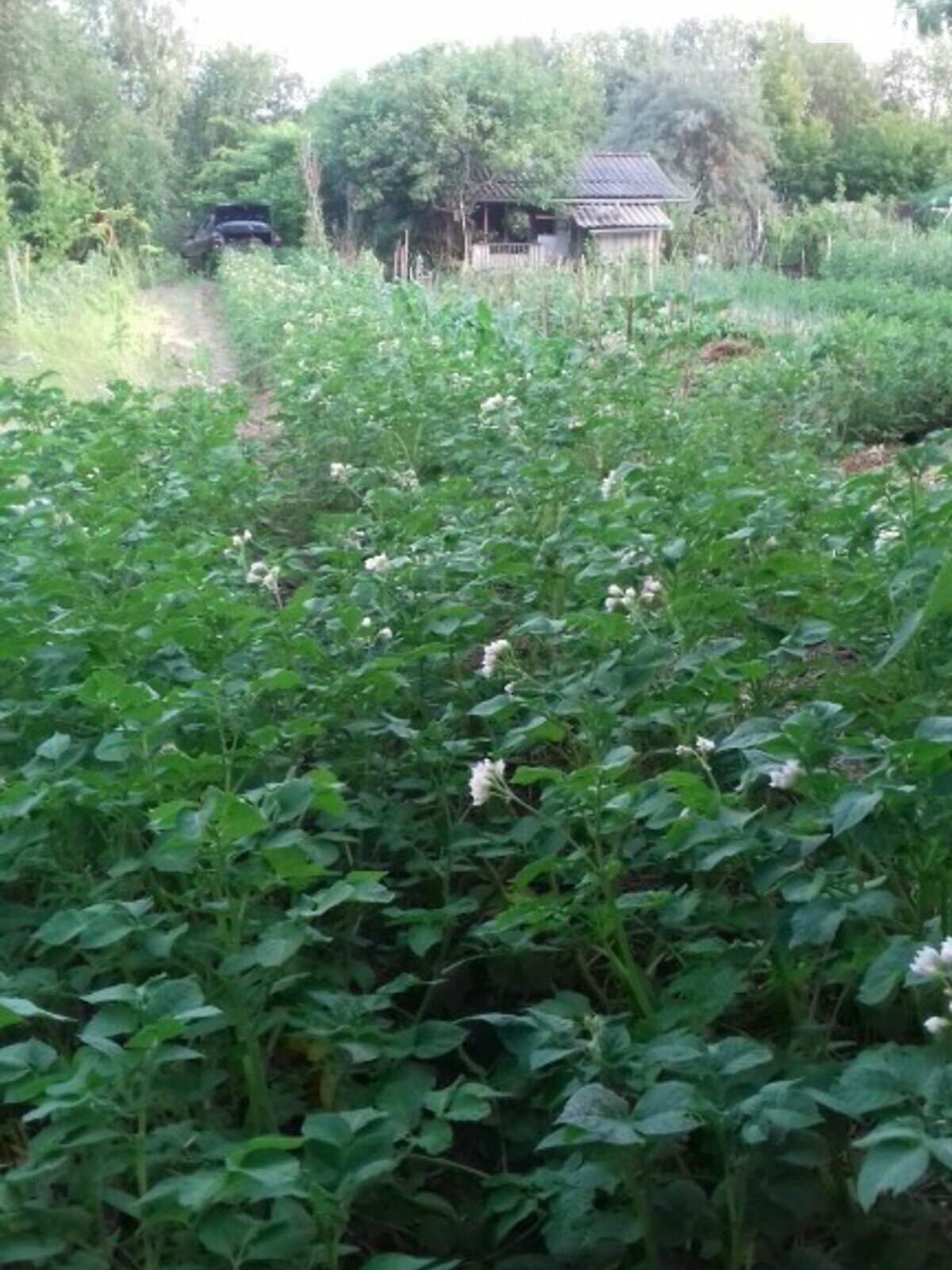 Земля сільськогосподарського призначення в Івано-Франківську, район Угринів, площа 9.5 сотки фото 1