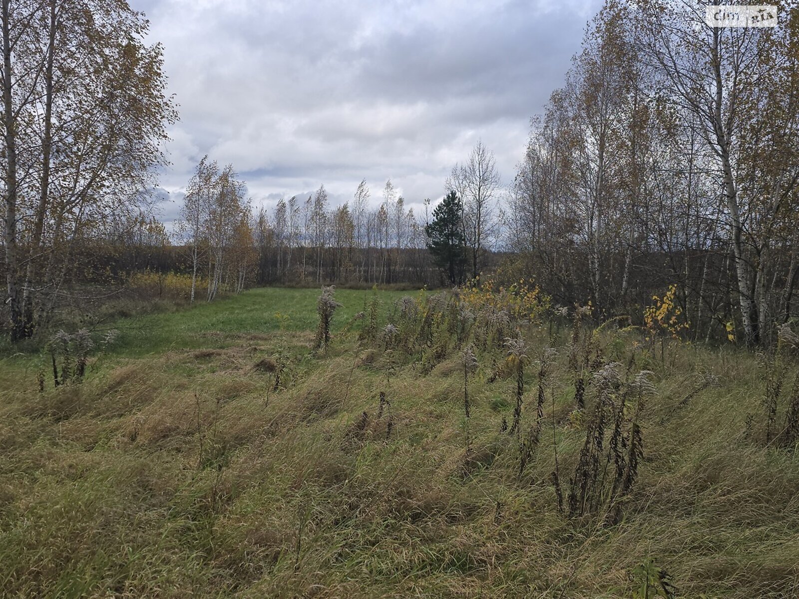 Земельный участок сельскохозяйственного назначения в Ивановке, площадь 16.78 сотки фото 1