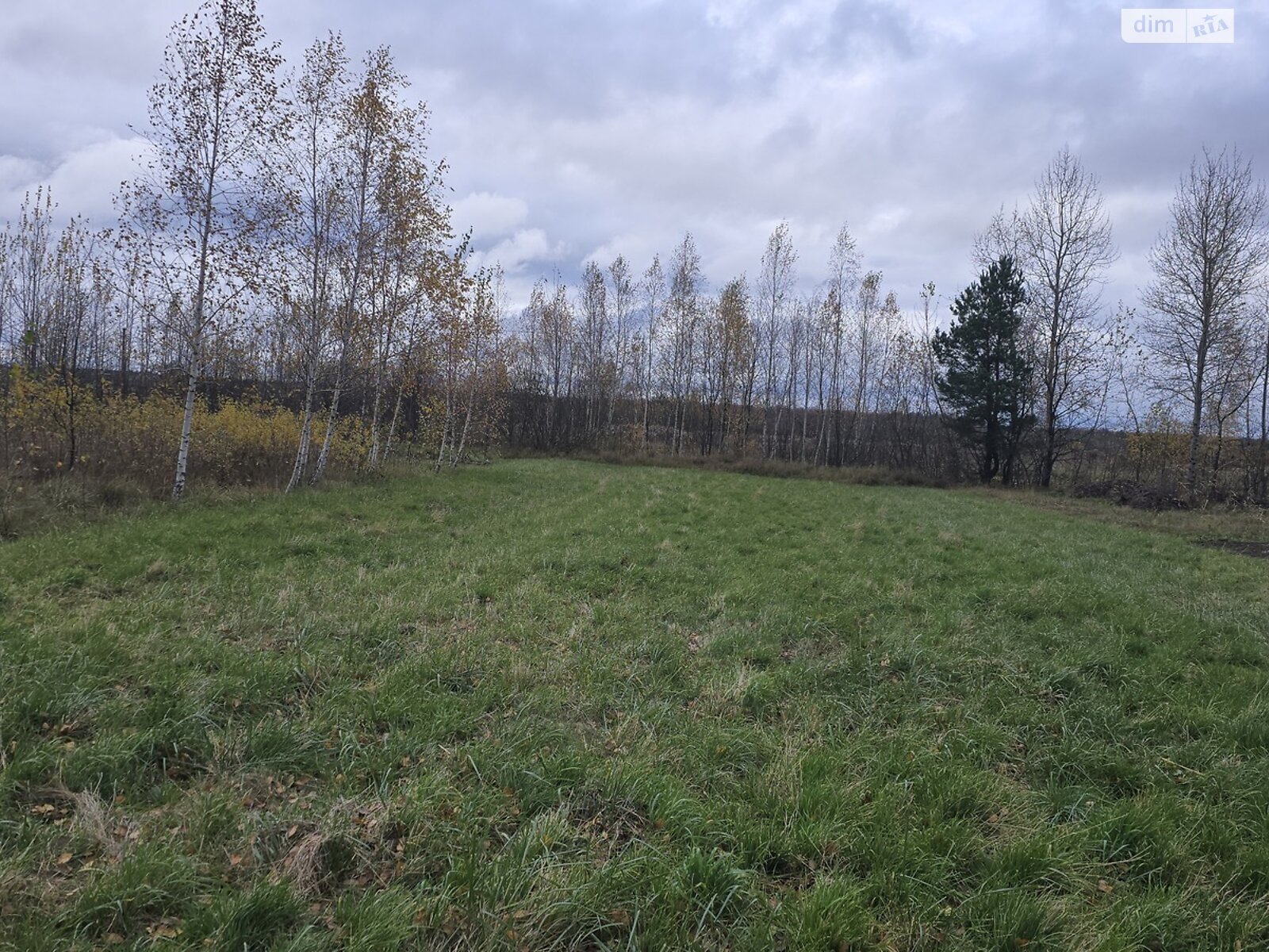 Земельный участок сельскохозяйственного назначения в Ивановке, площадь 16.78 сотки фото 1