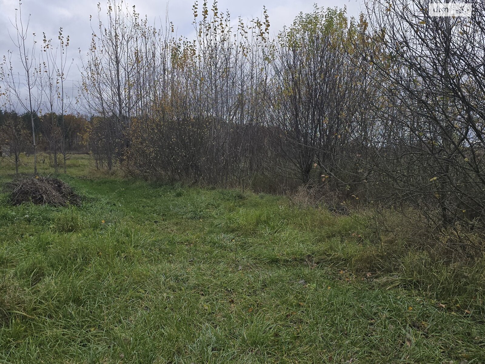 Земельный участок сельскохозяйственного назначения в Ивановке, площадь 16.78 сотки фото 1