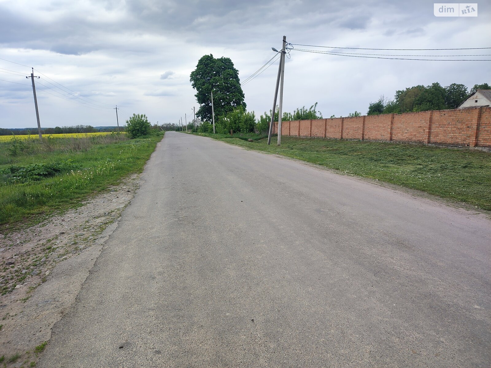 Земельна ділянка сільськогосподарського призначення в Іванівці, площа 1 Га фото 1 Земельна ділянка сільськогосподарського призначення в Іванівці, площа 1 Га фото 1