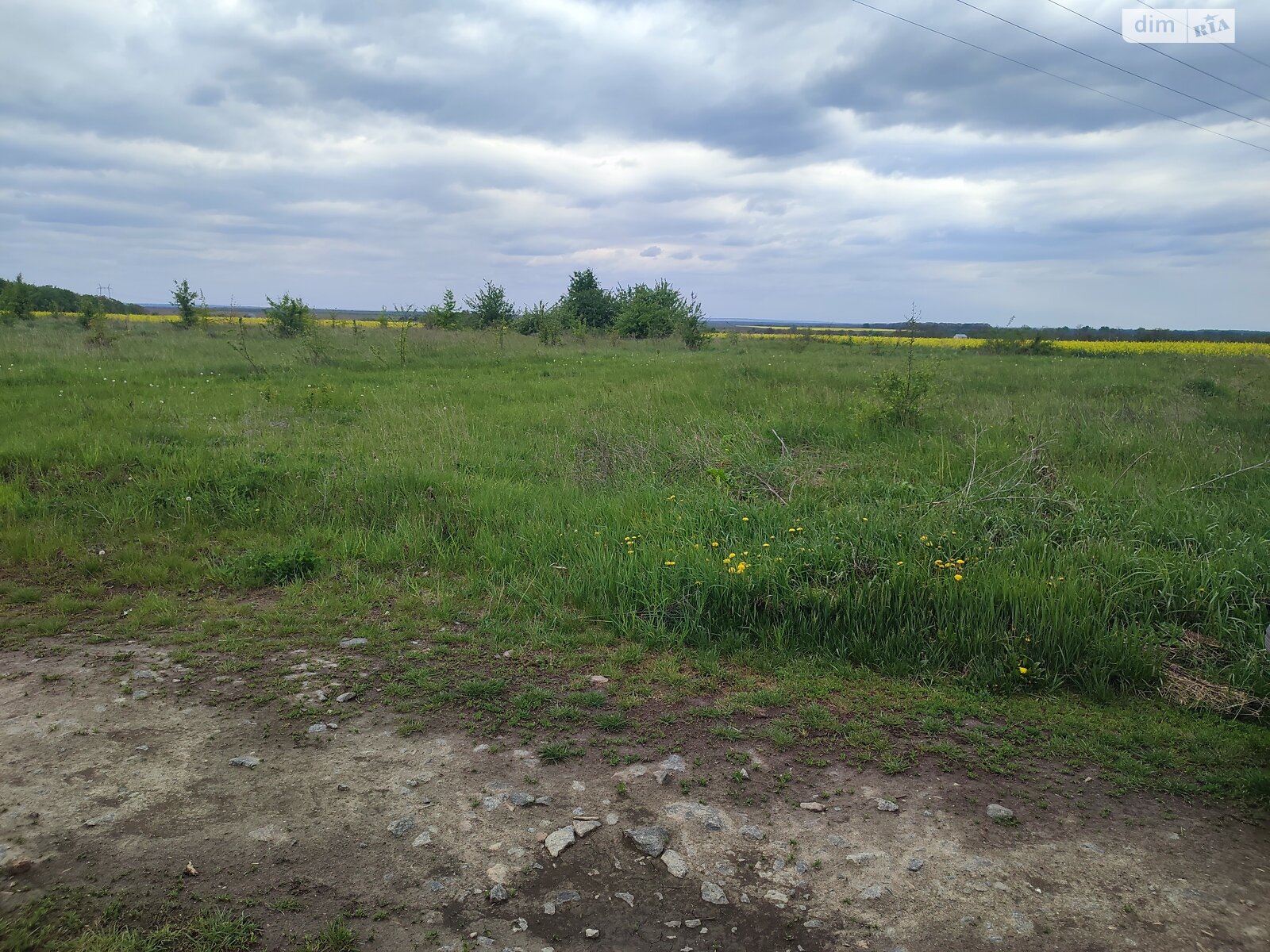 Земельна ділянка сільськогосподарського призначення в Іванівці, площа 1 Га фото 1 Земельна ділянка сільськогосподарського призначення в Іванівці, площа 1 Га фото 1