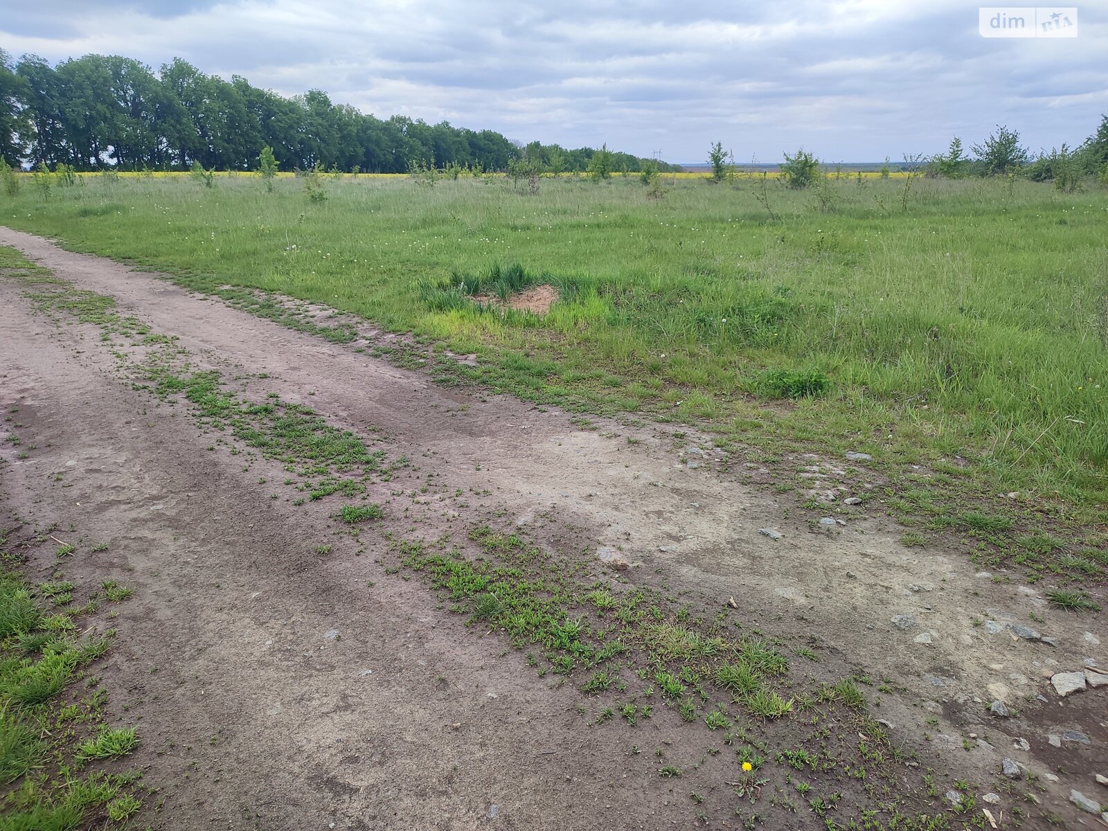 Земельна ділянка сільськогосподарського призначення в Іванівці, площа 1 Га фото 1 Земельна ділянка сільськогосподарського призначення в Іванівці, площа 1 Га фото 1