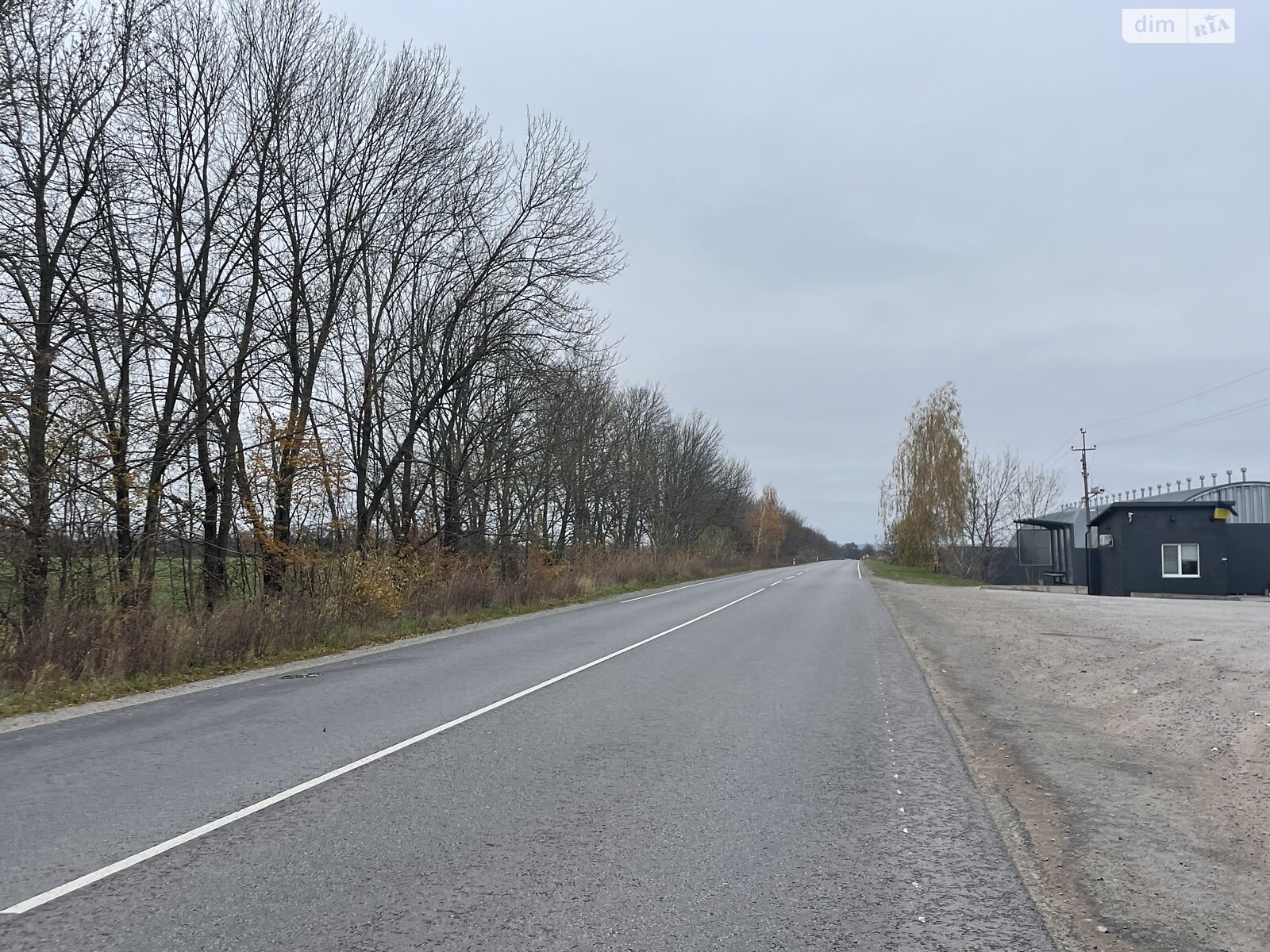 Земельна ділянка сільськогосподарського призначення в Іванівці, площа 131 сотка фото 1