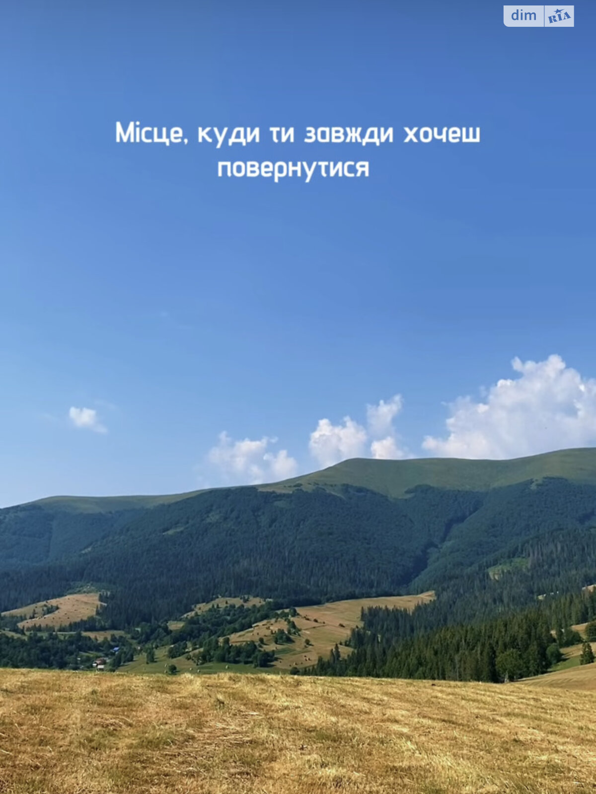 Земельный участок сельскохозяйственного назначения в Изки, площадь 89.79 сотки фото 1 Земельный участок сельскохозяйственного назначения в Изки, площадь 89.79 сотки фото 1