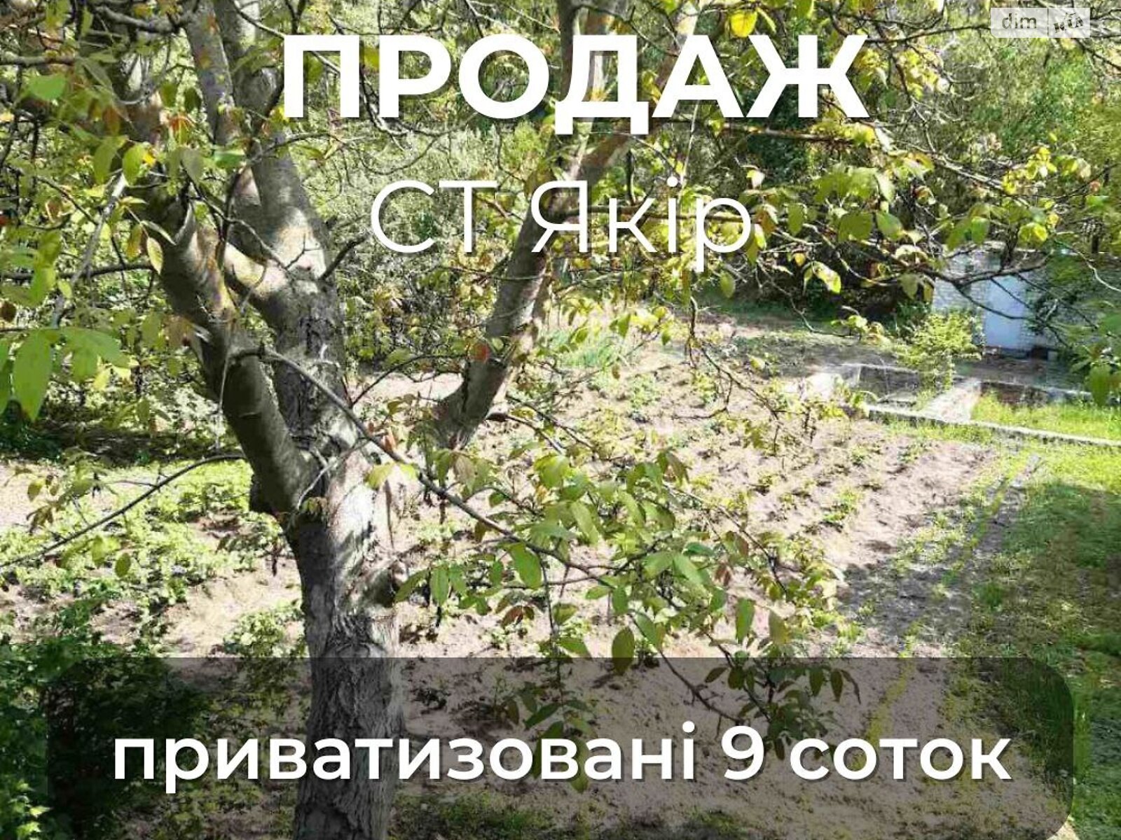 Земельна ділянка сільськогосподарського призначення в Жавинці, площа 8.6 сотки фото 1
