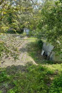 Земельна ділянка сільськогосподарського призначення в Жавинці, площа 8.6 сотки фото 2