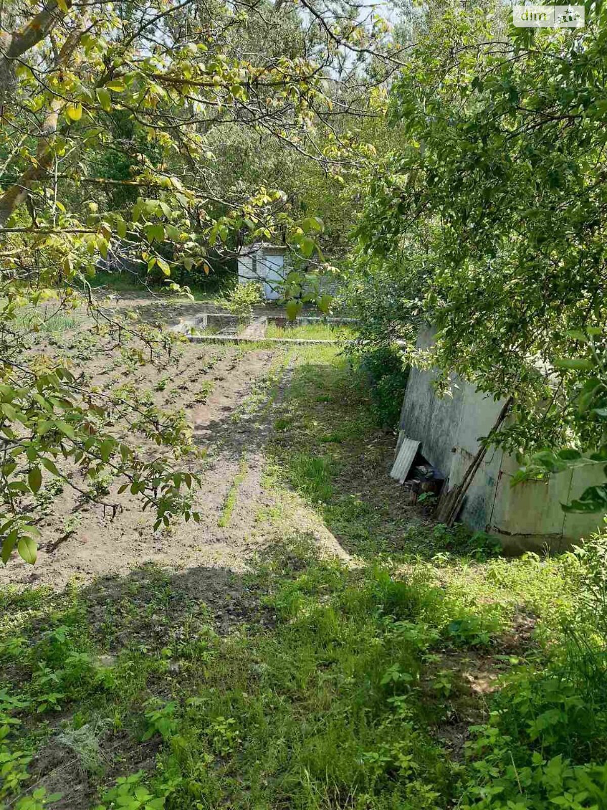 Земельна ділянка сільськогосподарського призначення в Жавинці, площа 8.6 сотки фото 1