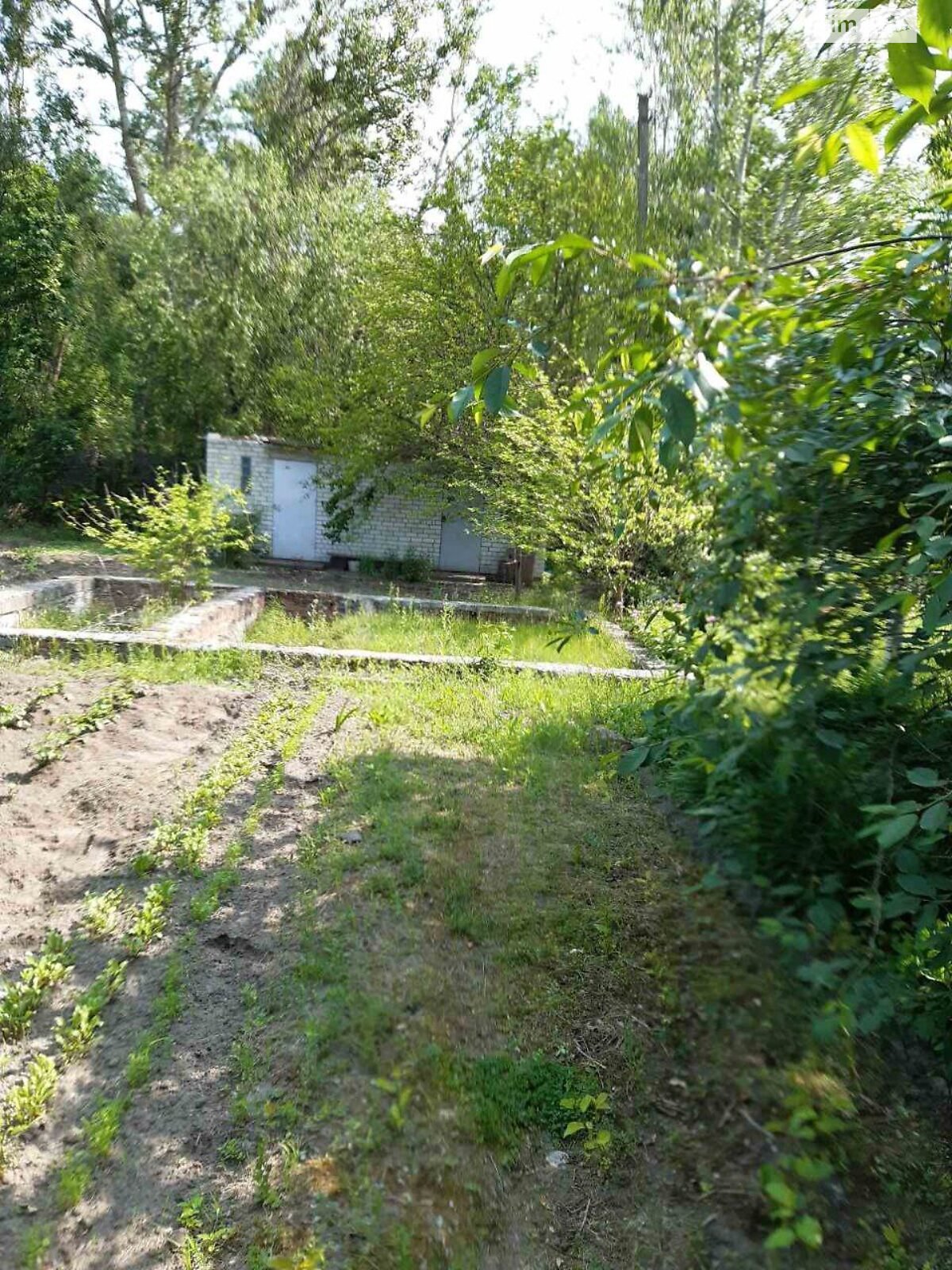 Земельна ділянка сільськогосподарського призначення в Жавинці, площа 8.6 сотки фото 1