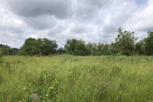 Земля сільськогосподарського призначення в Житомирі, район Аеропорт, площа 10 соток фото 2