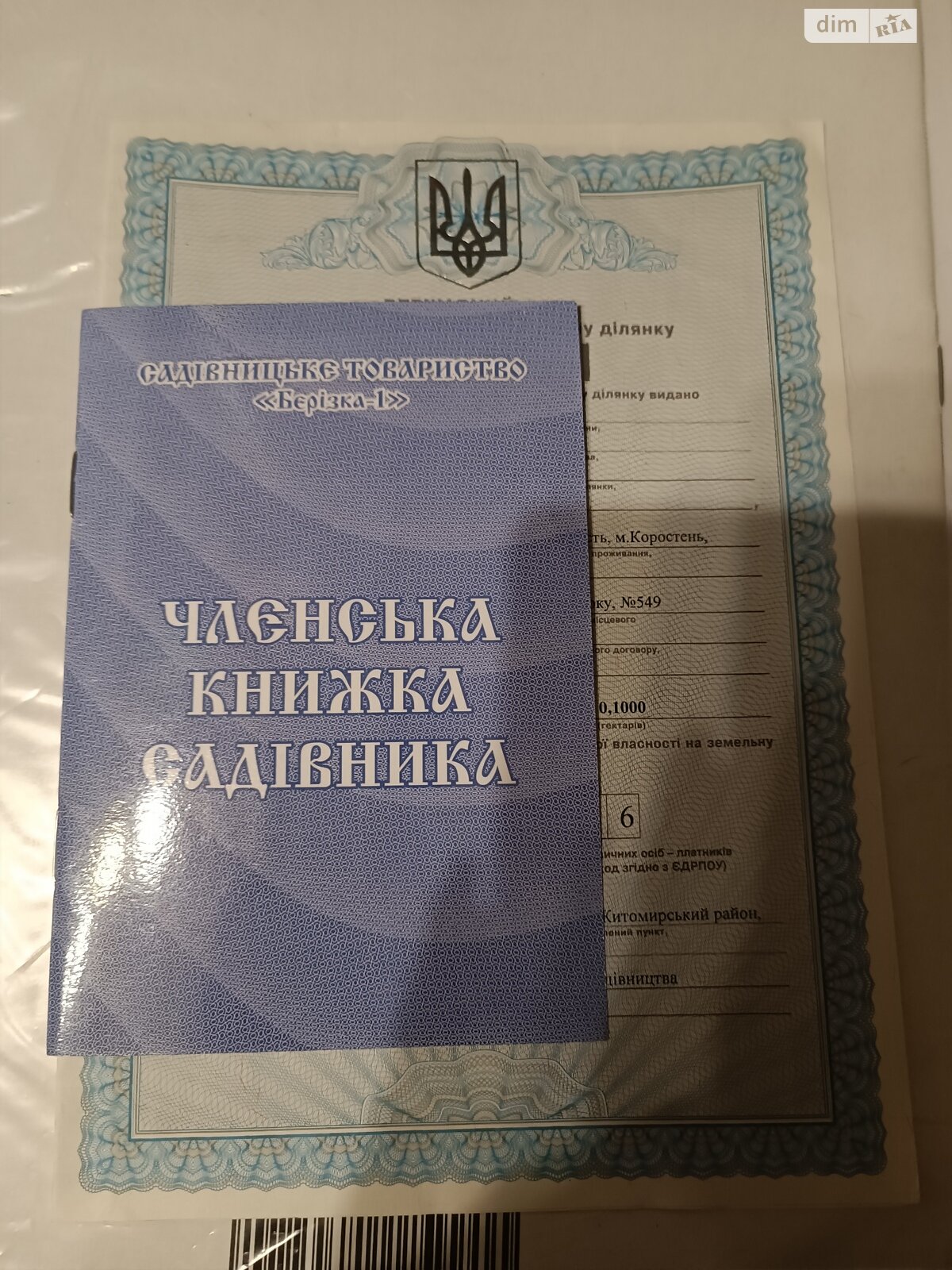 Земельна ділянка сільськогосподарського призначення в Березиній, площа 10 соток фото 1