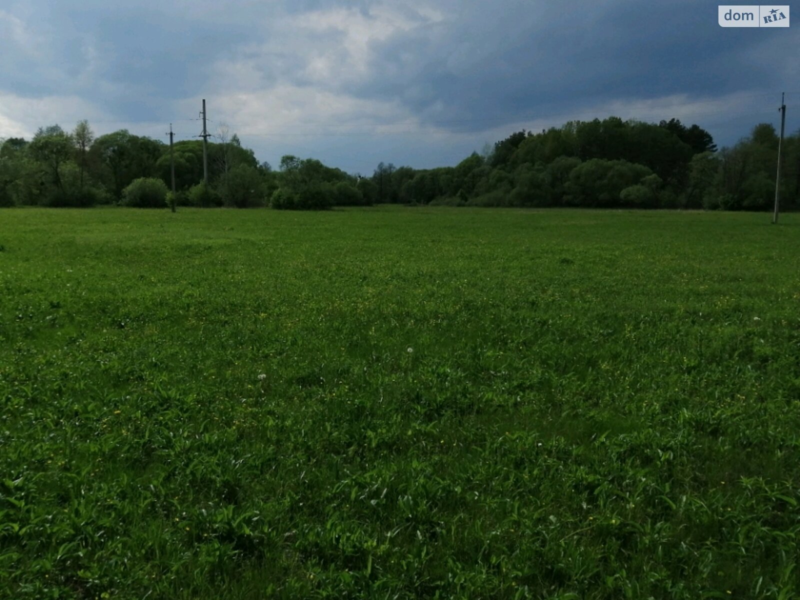 Земельный участок сельскохозяйственного назначения в Барашевке, площадь 400 соток фото 1
