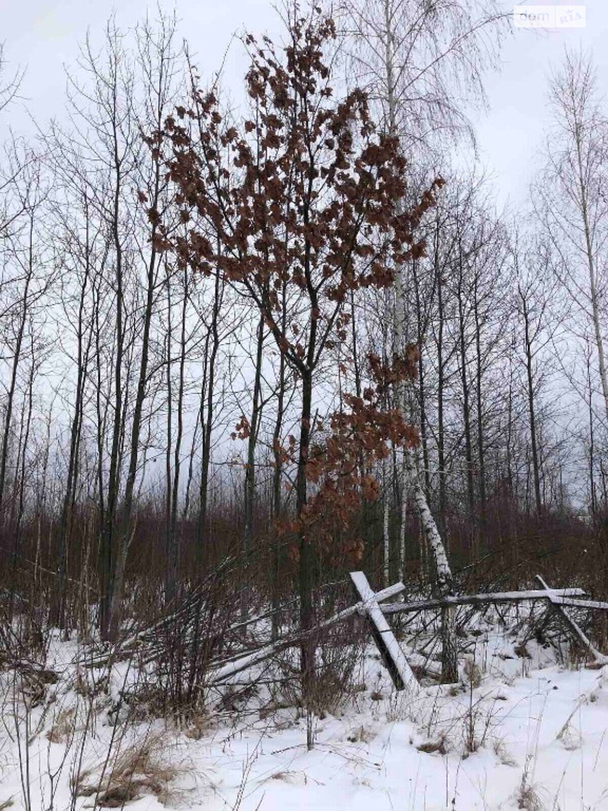 Земельный участок сельскохозяйственного назначения в Ивановке, площадь 15 соток фото 1