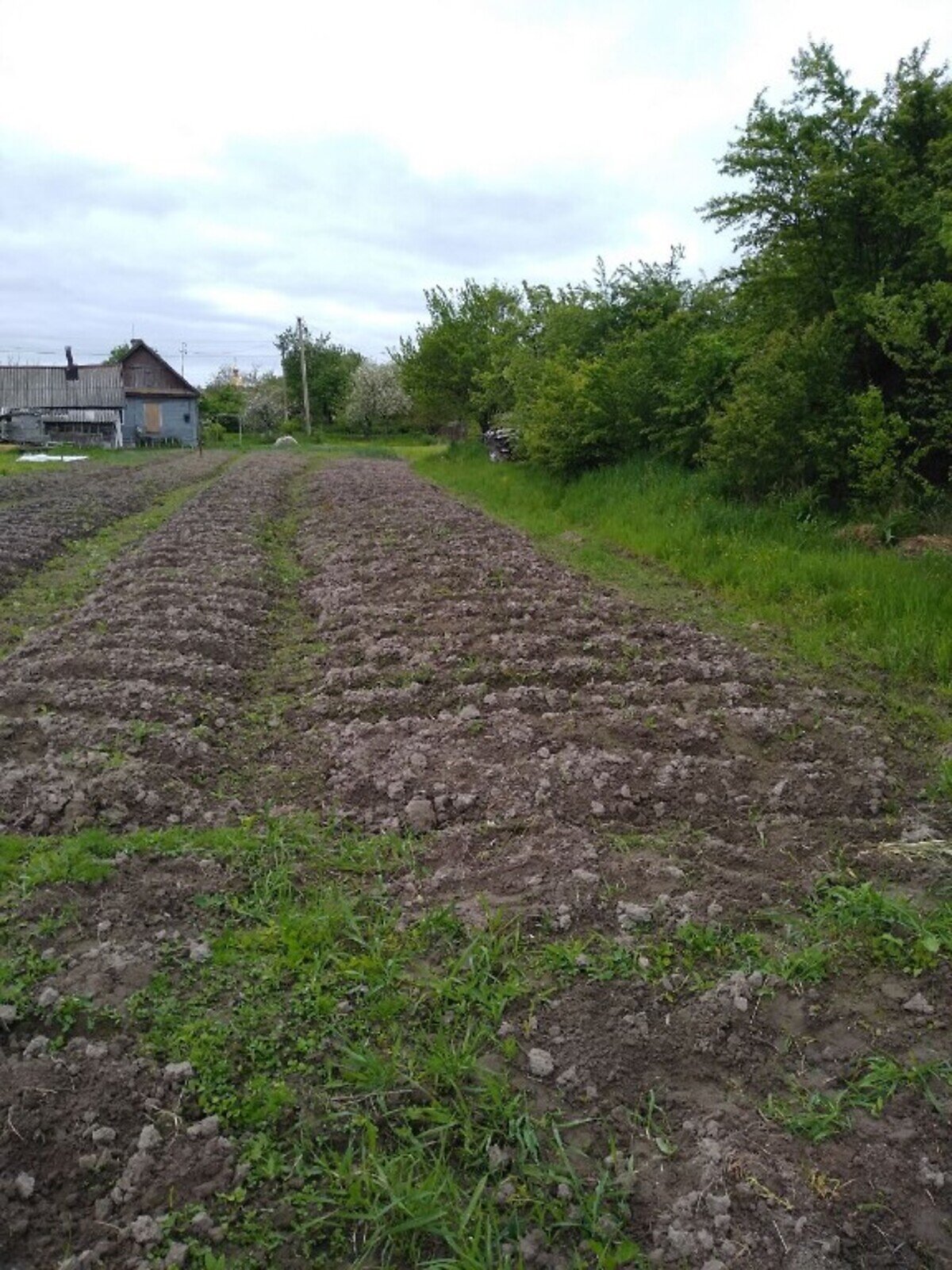 Земельна ділянка сільськогосподарського призначення в Іванівці, площа 15 соток фото 1