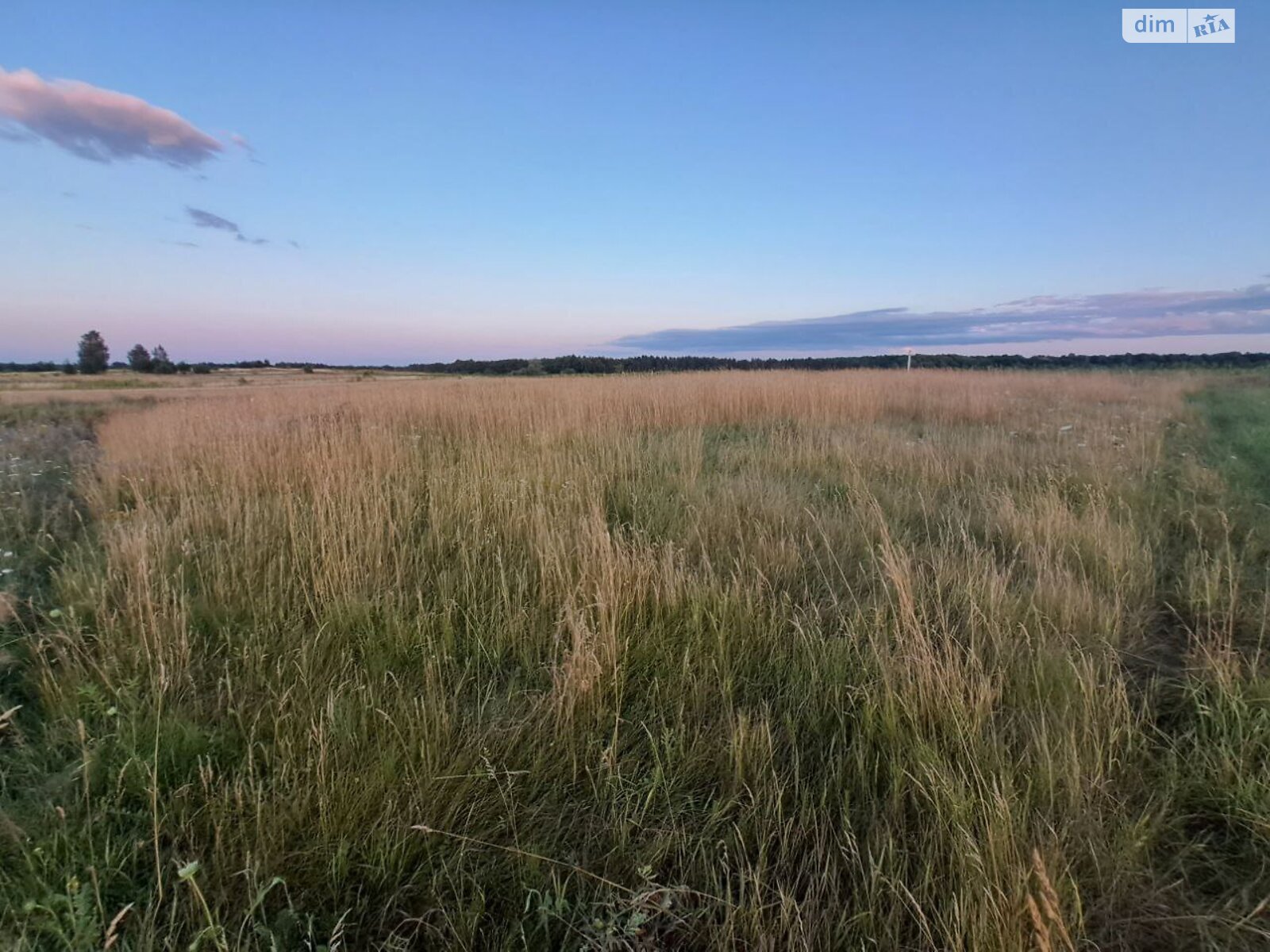 Земельна ділянка сільськогосподарського призначення в Житомирі, площа 7 соток фото 1