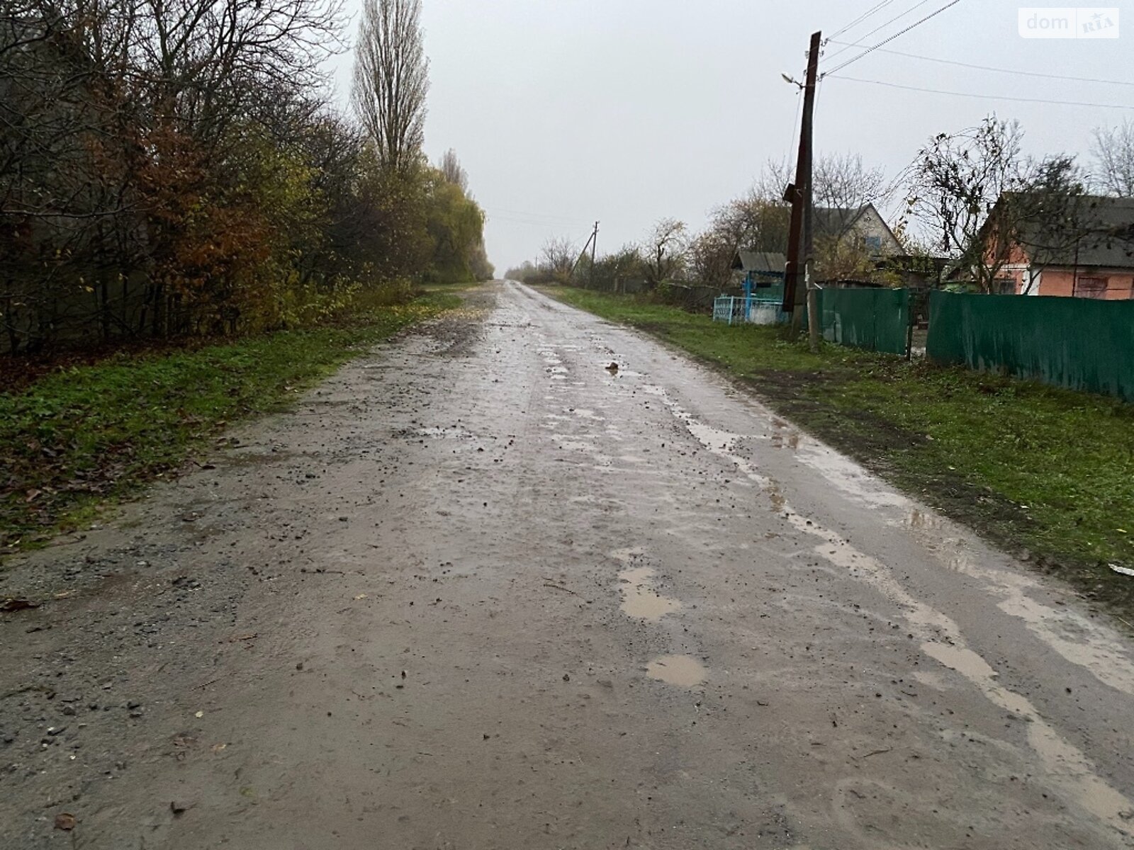 Земельный участок сельскохозяйственного назначения в Людавке, площадь 75 соток фото 1