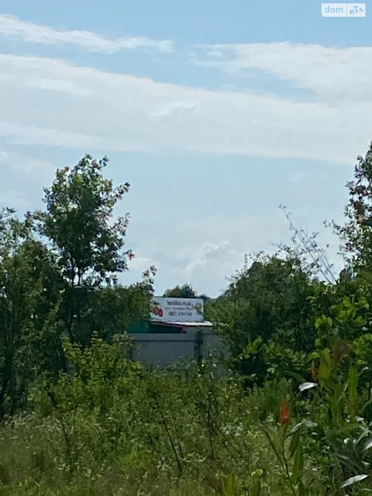 Земельный участок сельскохозяйственного назначения в Людавке, площадь 75 соток фото 1