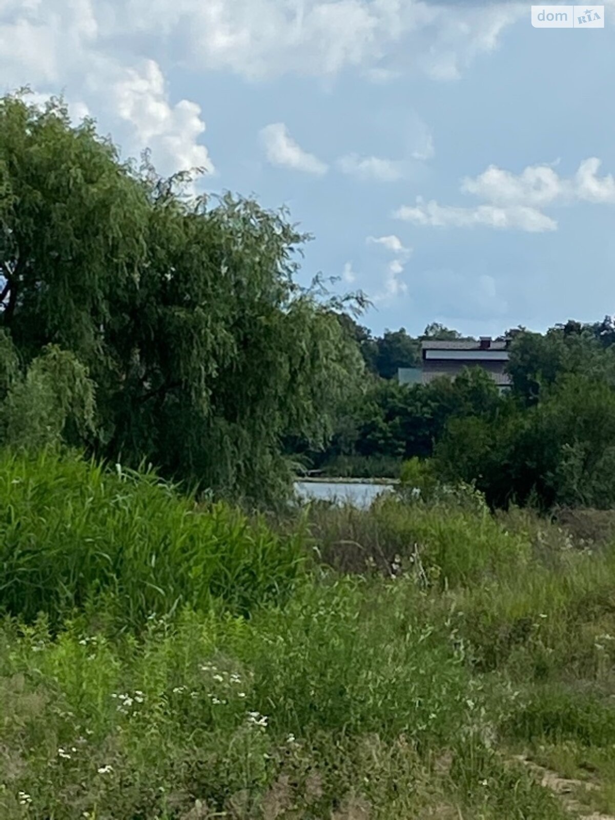 Земельный участок сельскохозяйственного назначения в Людавке, площадь 75 соток фото 1