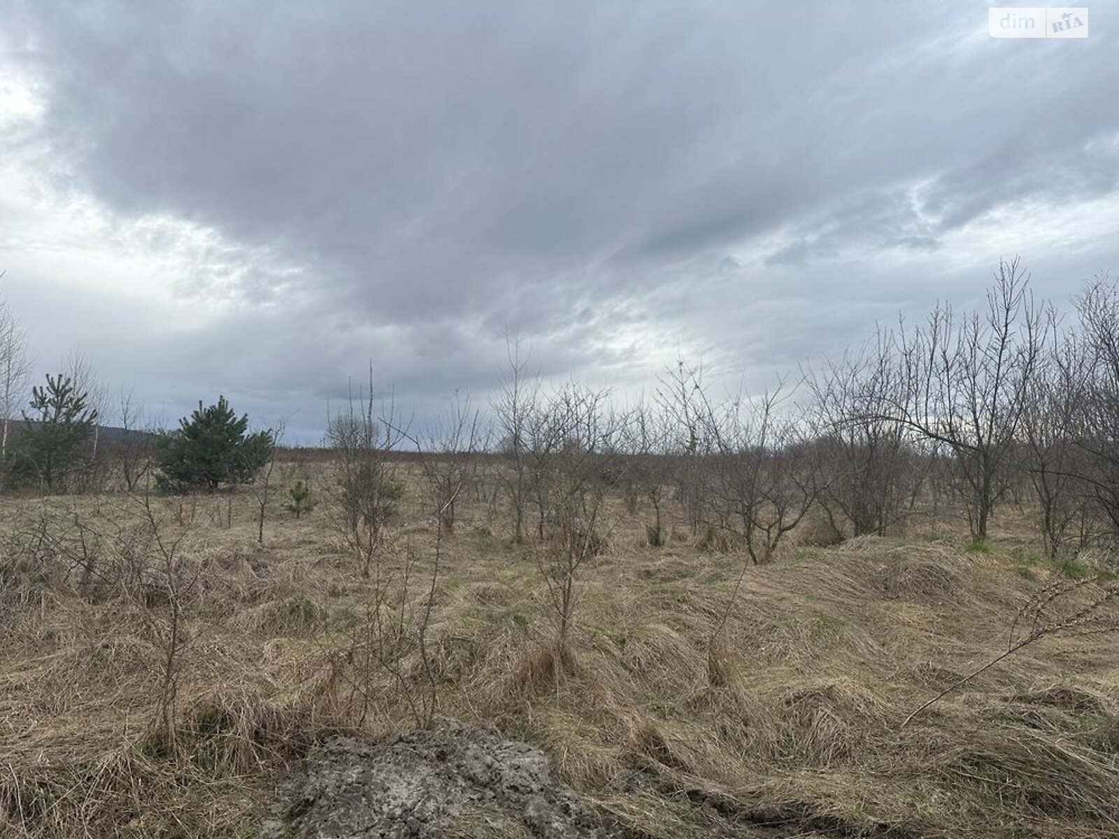 Земля сільськогосподарського призначення в Жовкві, район Жовква, площа 4 Га фото 1 Земля сільськогосподарського призначення в Жовкві, район Жовква, площа 4 Га фото 1
