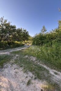 Земельный участок сельскохозяйственного назначения в Жорновке, площадь 0.1895 Га фото 2
