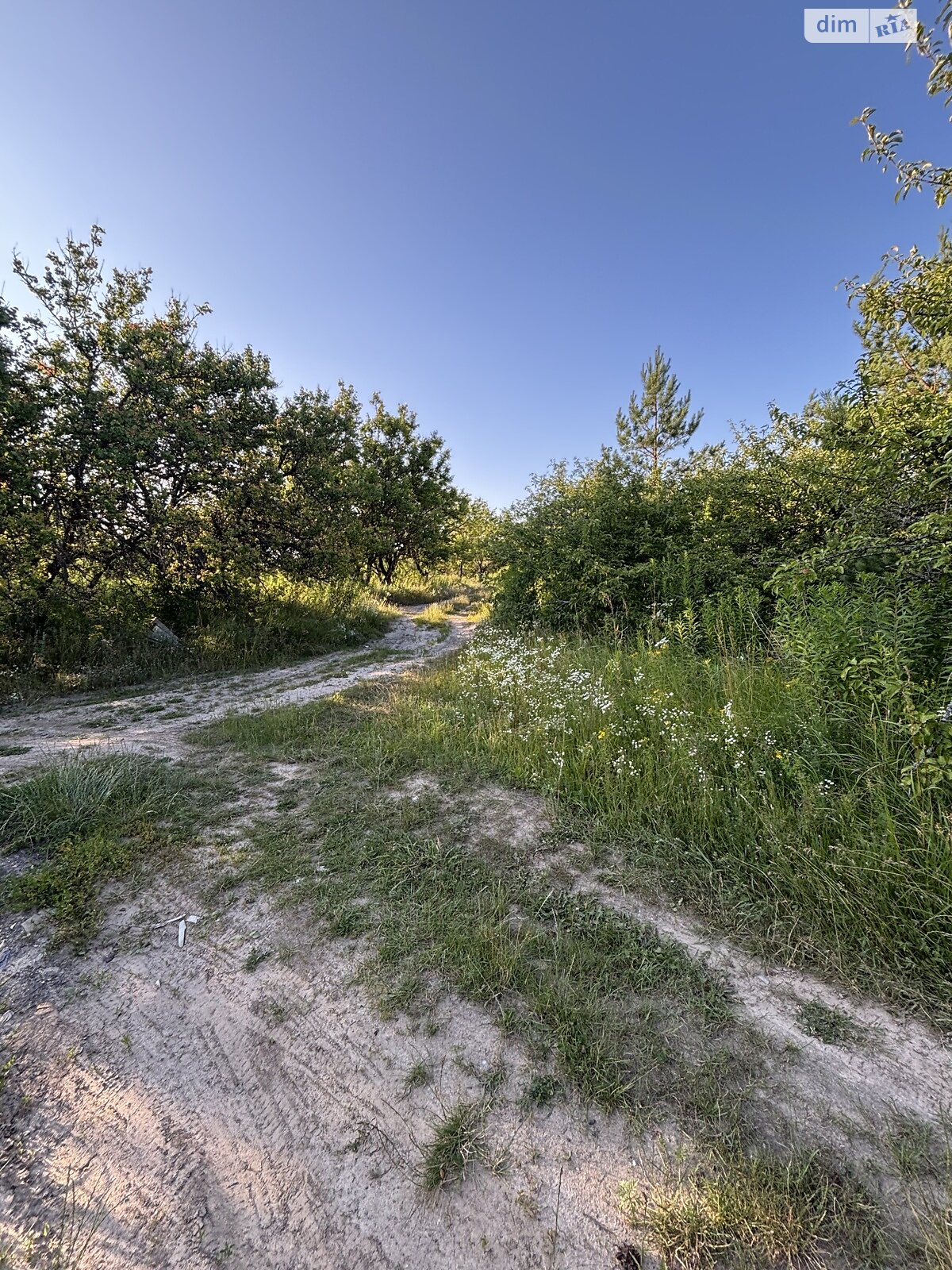 Земельный участок сельскохозяйственного назначения в Жорновке, площадь 0.1895 Га фото 1