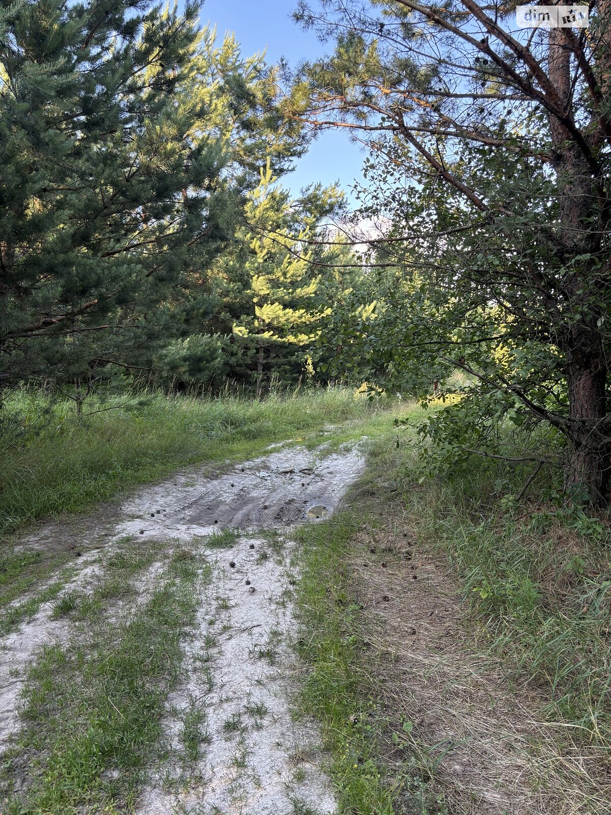 Земельный участок сельскохозяйственного назначения в Жорновке, площадь 0.1895 Га фото 1