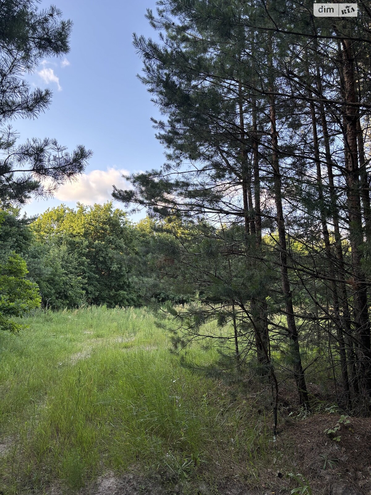 Земельный участок сельскохозяйственного назначения в Жорновке, площадь 0.1895 Га фото 1