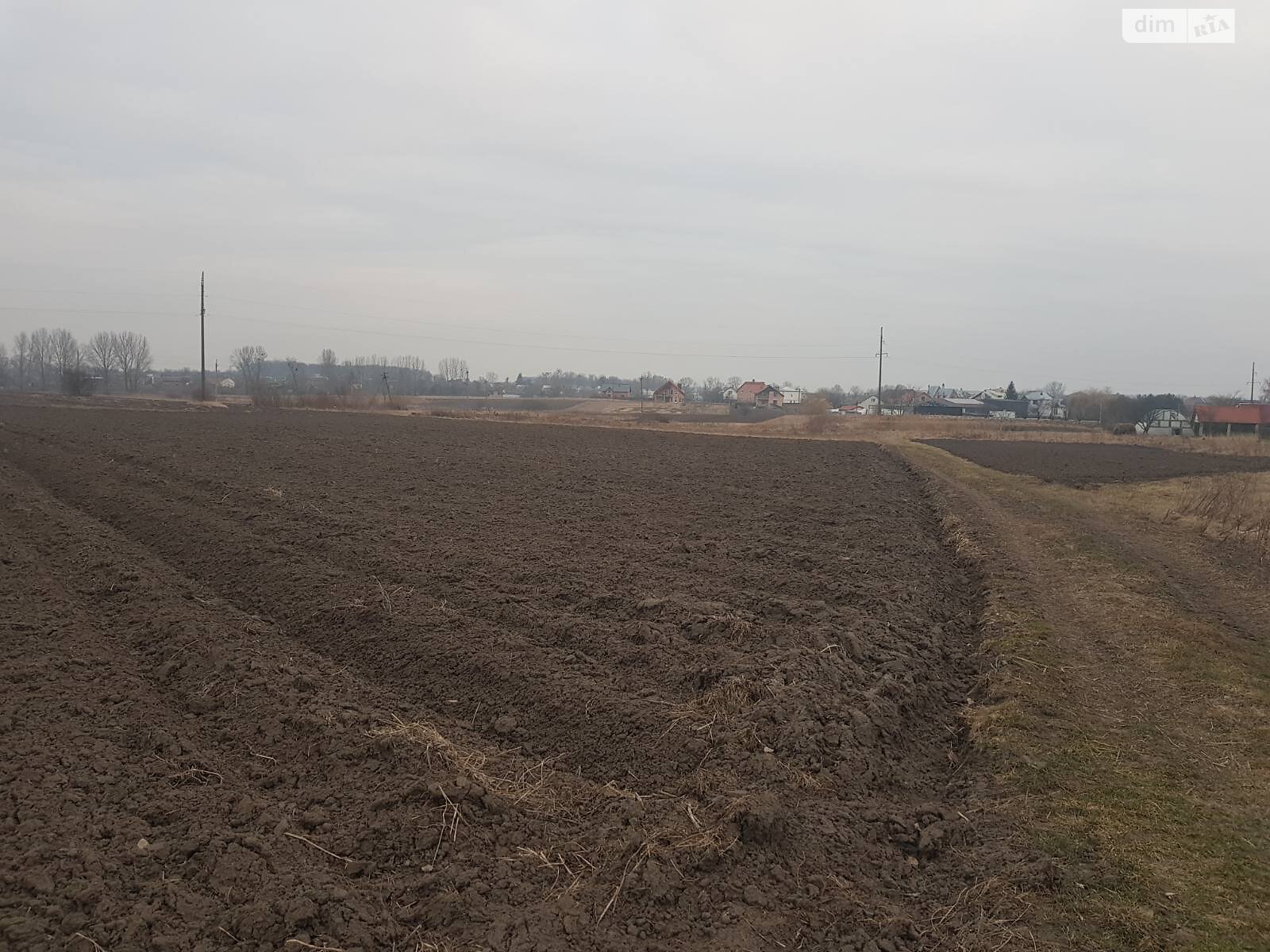 Земельна ділянка сільськогосподарського призначення в Жовтанцях, площа 40.89 сотки фото 1