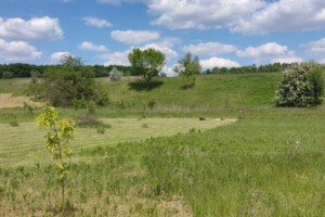 Земельна ділянка сільськогосподарського призначення в Жуківці, площа 12 соток фото 2