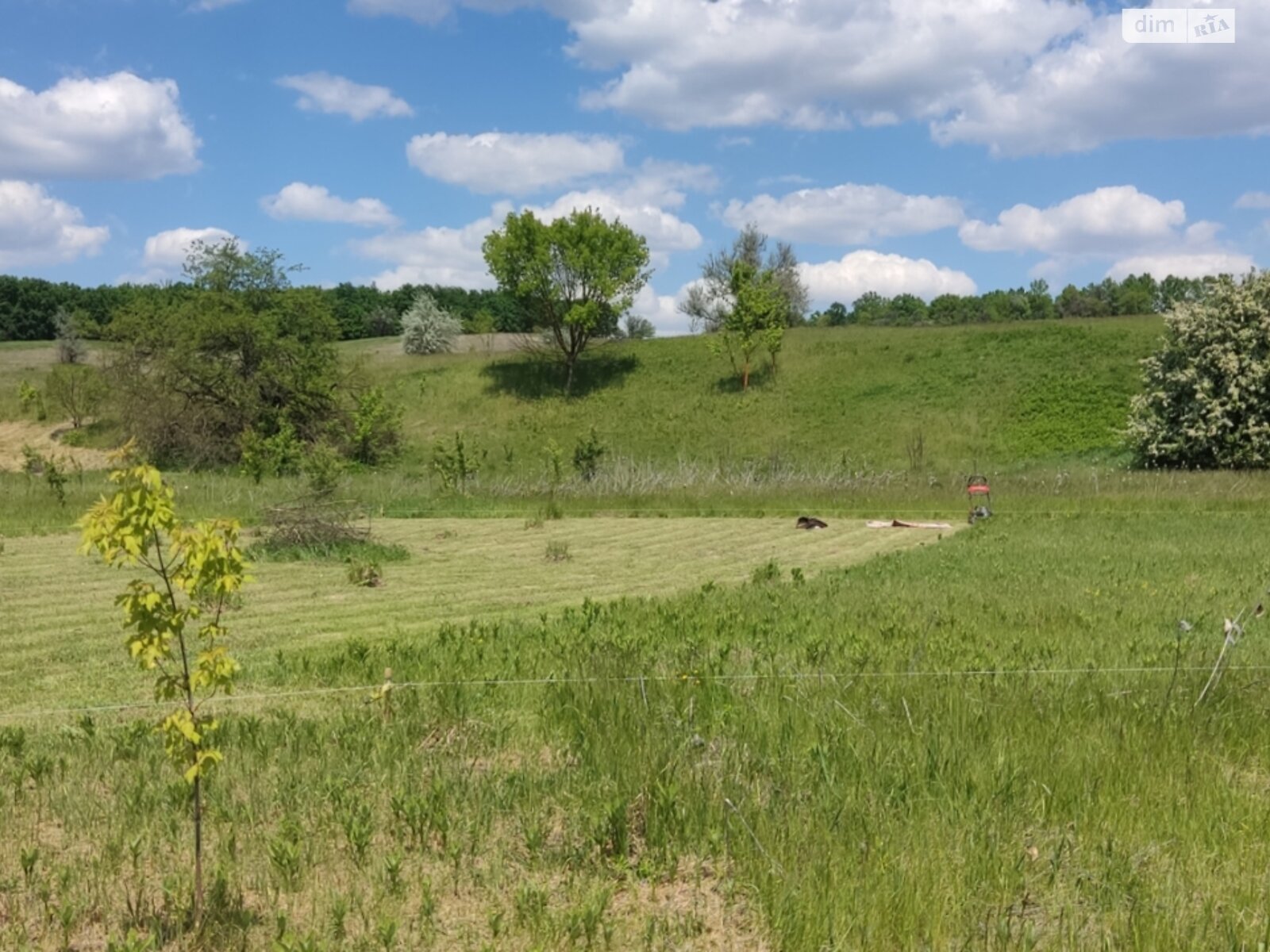Земельна ділянка сільськогосподарського призначення в Жуківці, площа 12 соток фото 1
