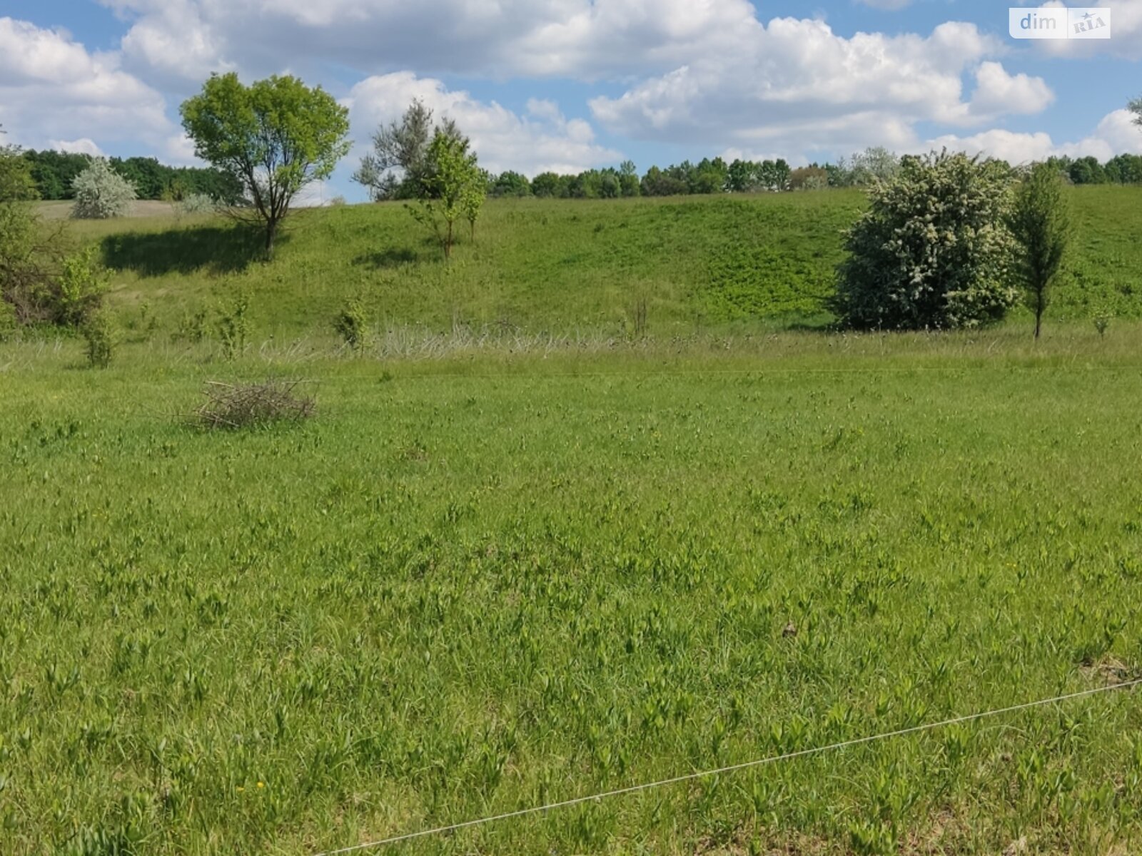 Земельна ділянка сільськогосподарського призначення в Жуківці, площа 12 соток фото 1