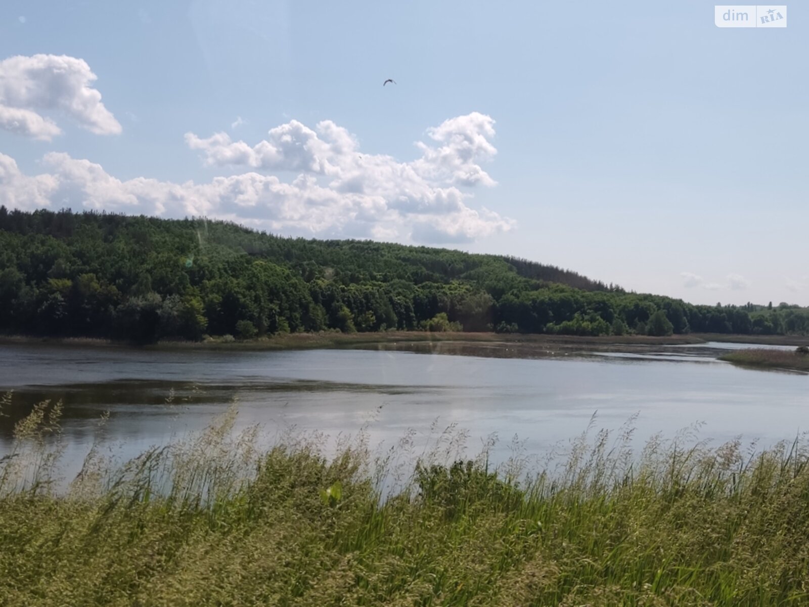 Земельна ділянка сільськогосподарського призначення в Жуківці, площа 12 соток фото 1