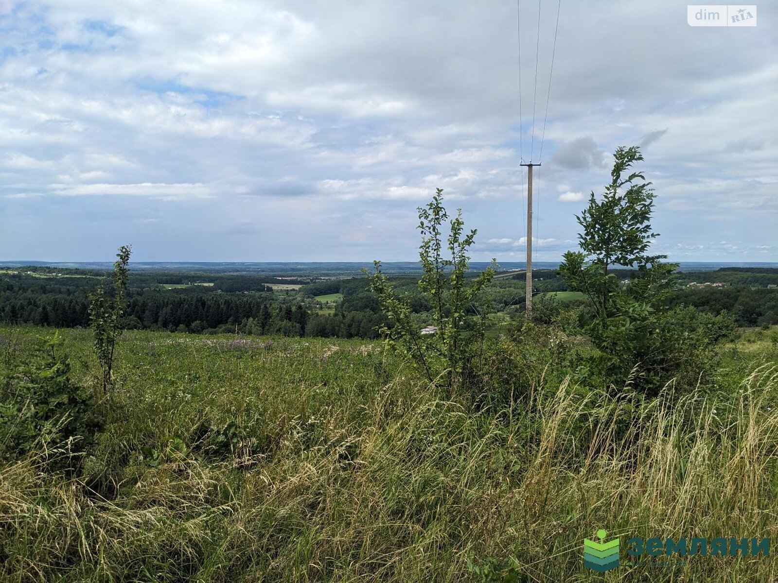 Земельный участок сельскохозяйственного назначения в Жураках, площадь 49.12 сотки фото 1