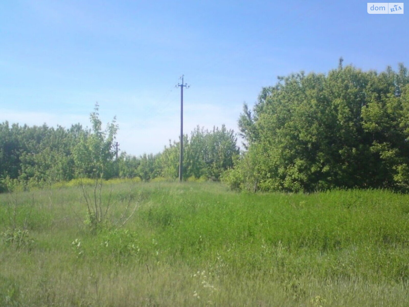 Земельный участок сельскохозяйственного назначения в Уляниках, площадь 50 соток фото 1