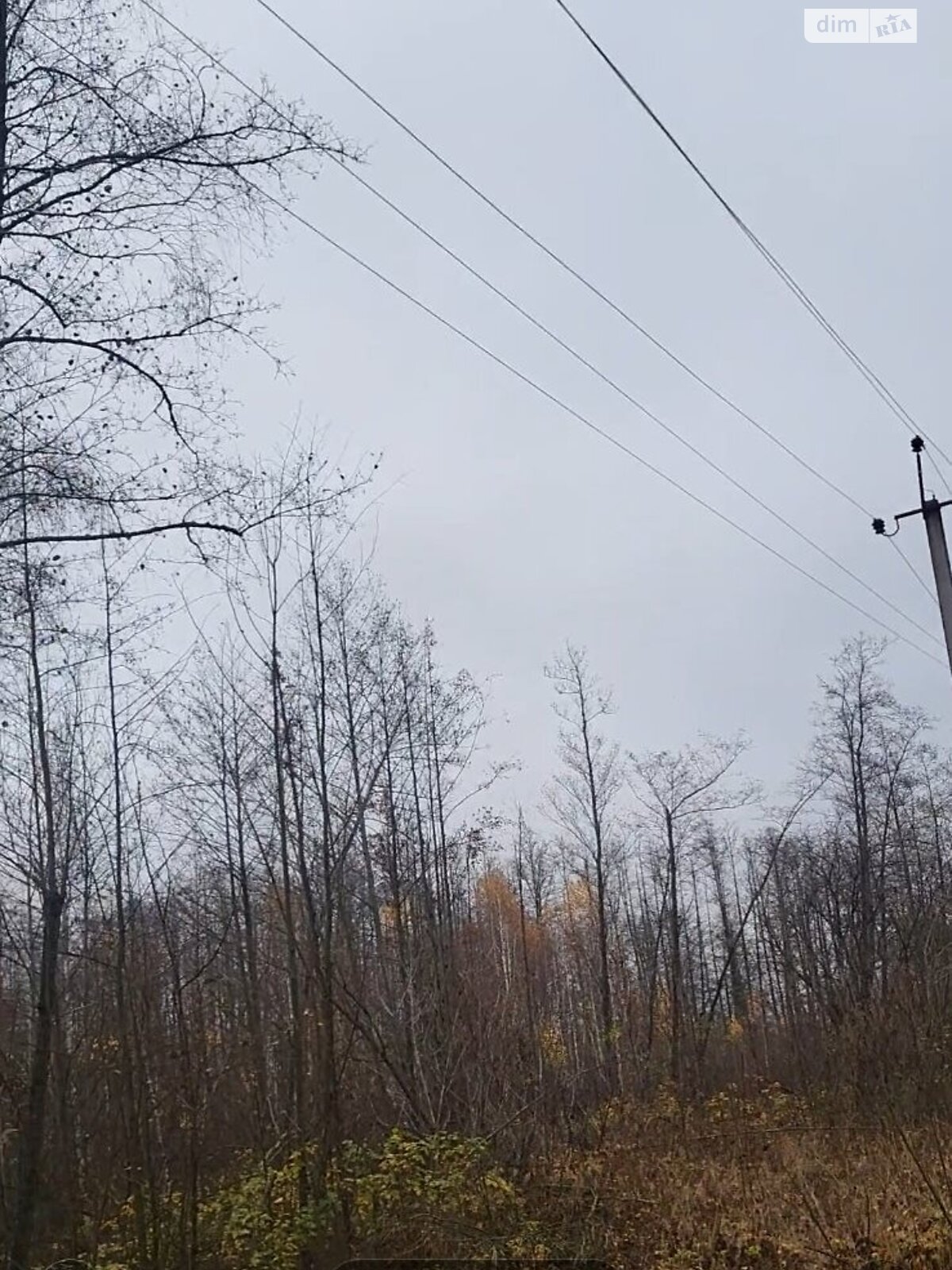 Земельный участок сельскохозяйственного назначения в Калиновке, площадь 135 соток фото 1