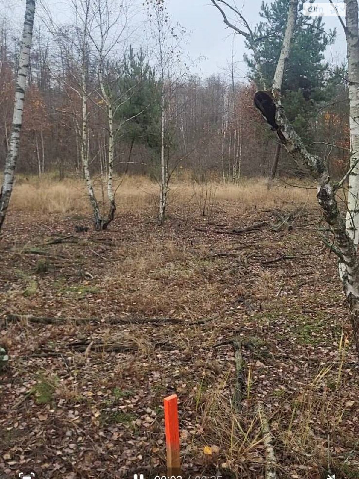 Земельный участок сельскохозяйственного назначения в Калиновке, площадь 135 соток фото 1