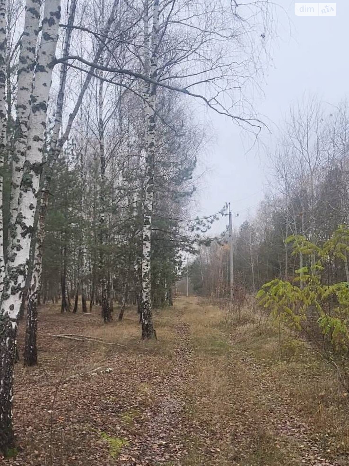 Земельный участок сельскохозяйственного назначения в Калиновке, площадь 135 соток фото 1