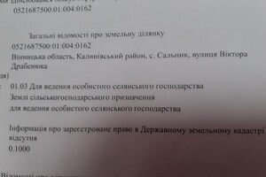 Земельна ділянка сільськогосподарського призначення в Сальнику, площа 10 соток фото 1