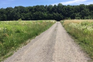 Земельный участок сельскохозяйственного назначения в Сальнике, площадь 12 соток фото 2