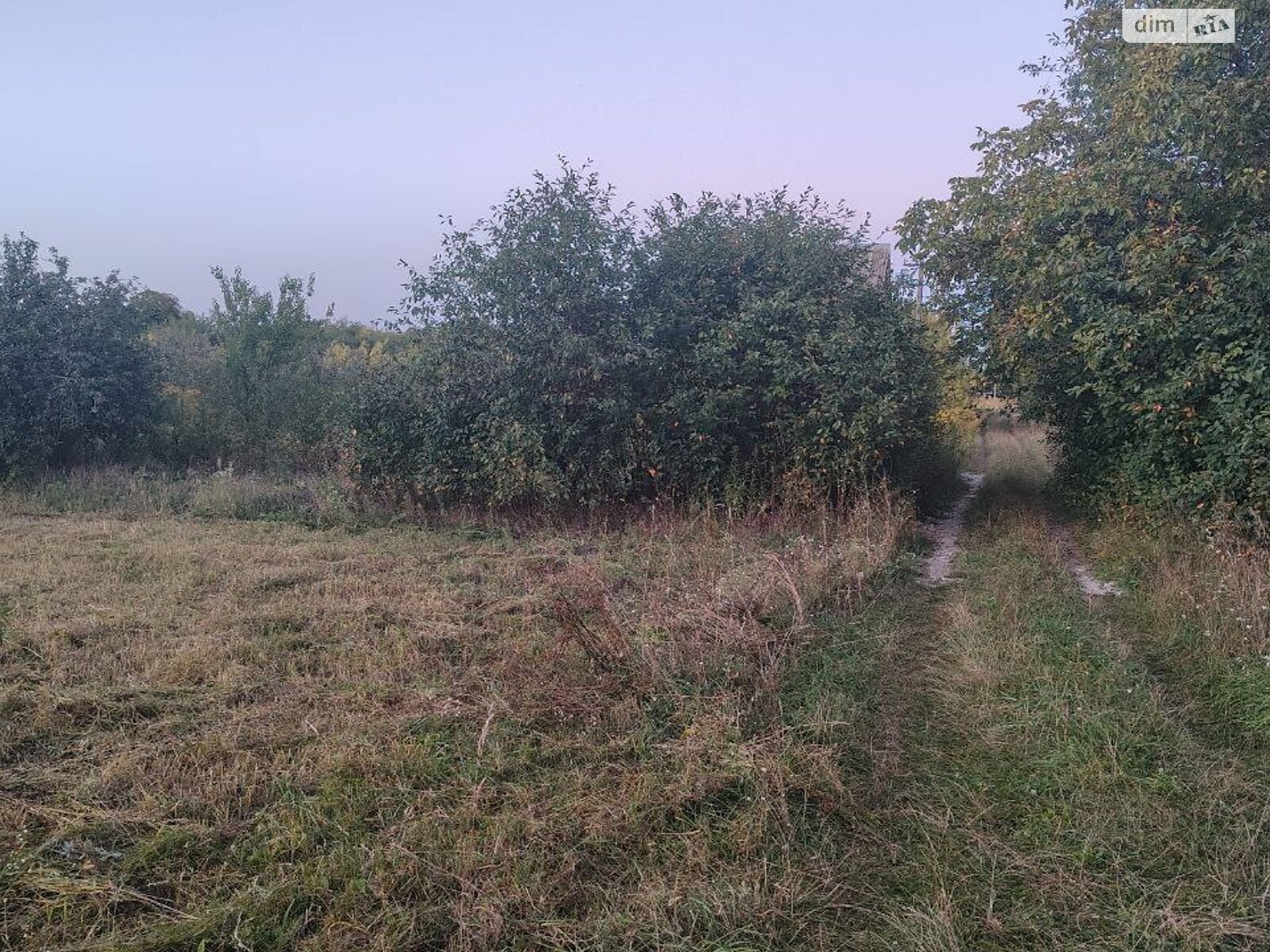 Земельна ділянка сільськогосподарського призначення в Калинівці, площа 12 соток фото 1