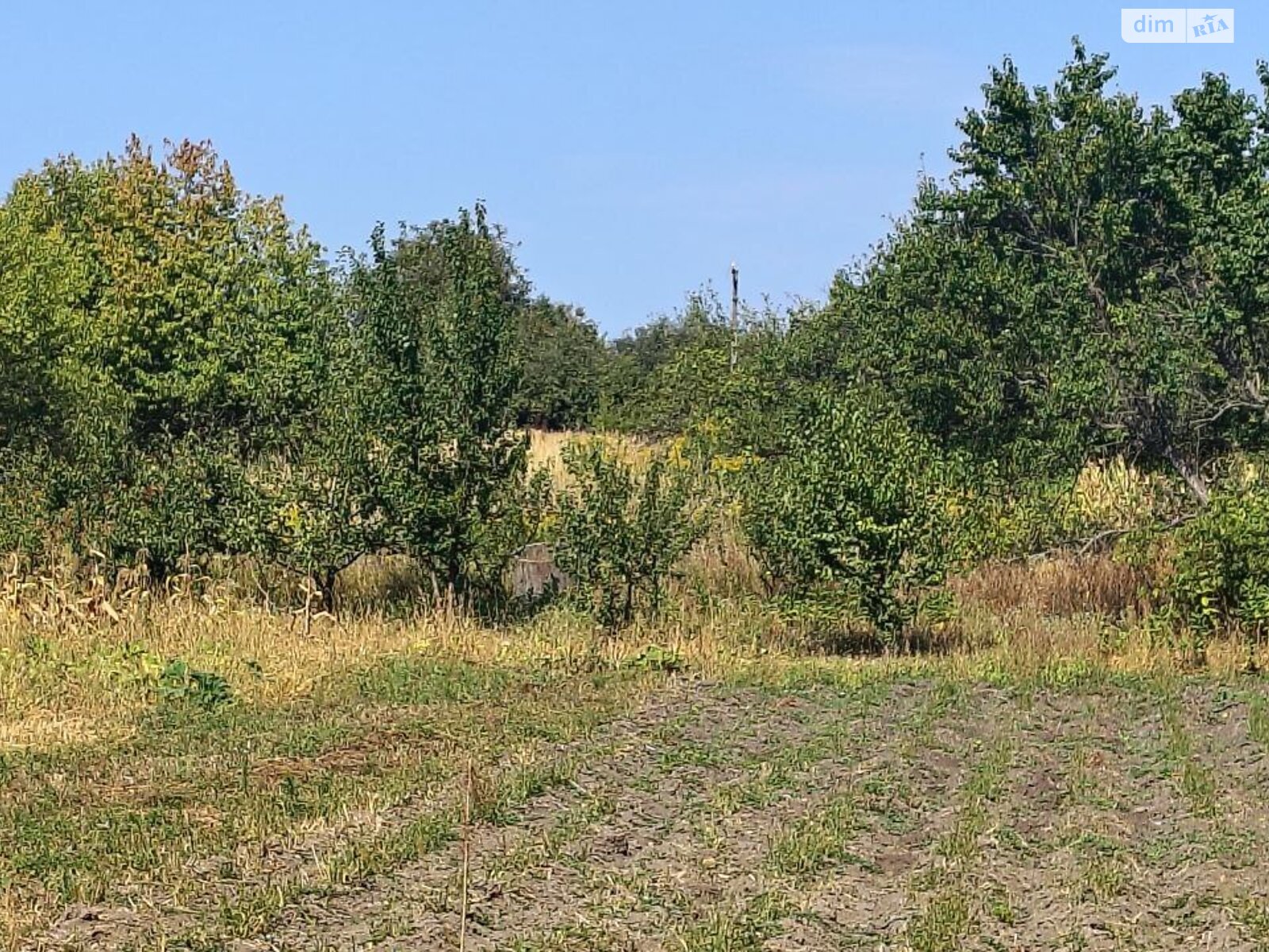Земельна ділянка сільськогосподарського призначення в Калинівці, площа 12 соток фото 1