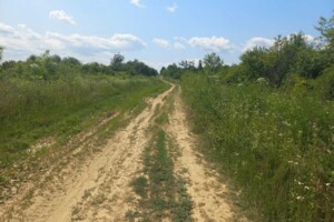 Земельна ділянка сільськогосподарського призначення в Кальнику, площа 600 соток фото 2