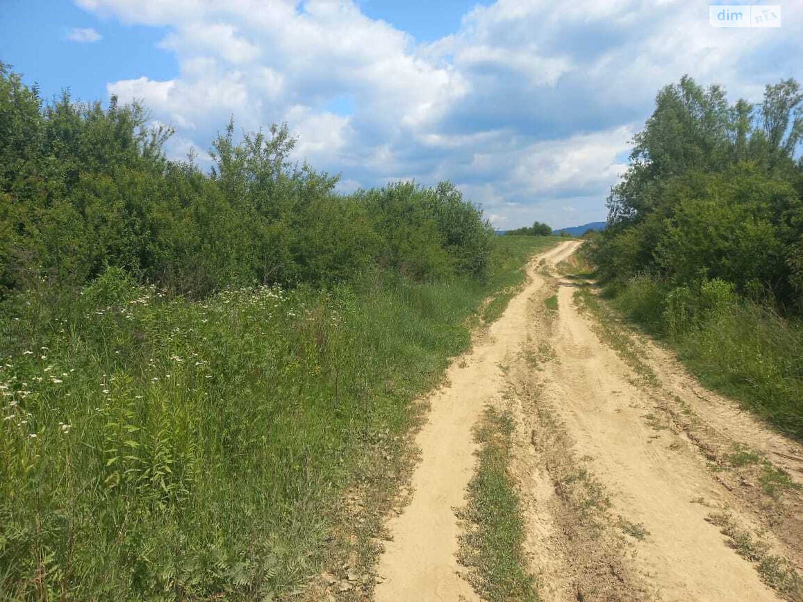 Земельна ділянка сільськогосподарського призначення в Кальнику, площа 600 соток фото 1 Земельна ділянка сільськогосподарського призначення в Кальнику, площа 600 соток фото 1