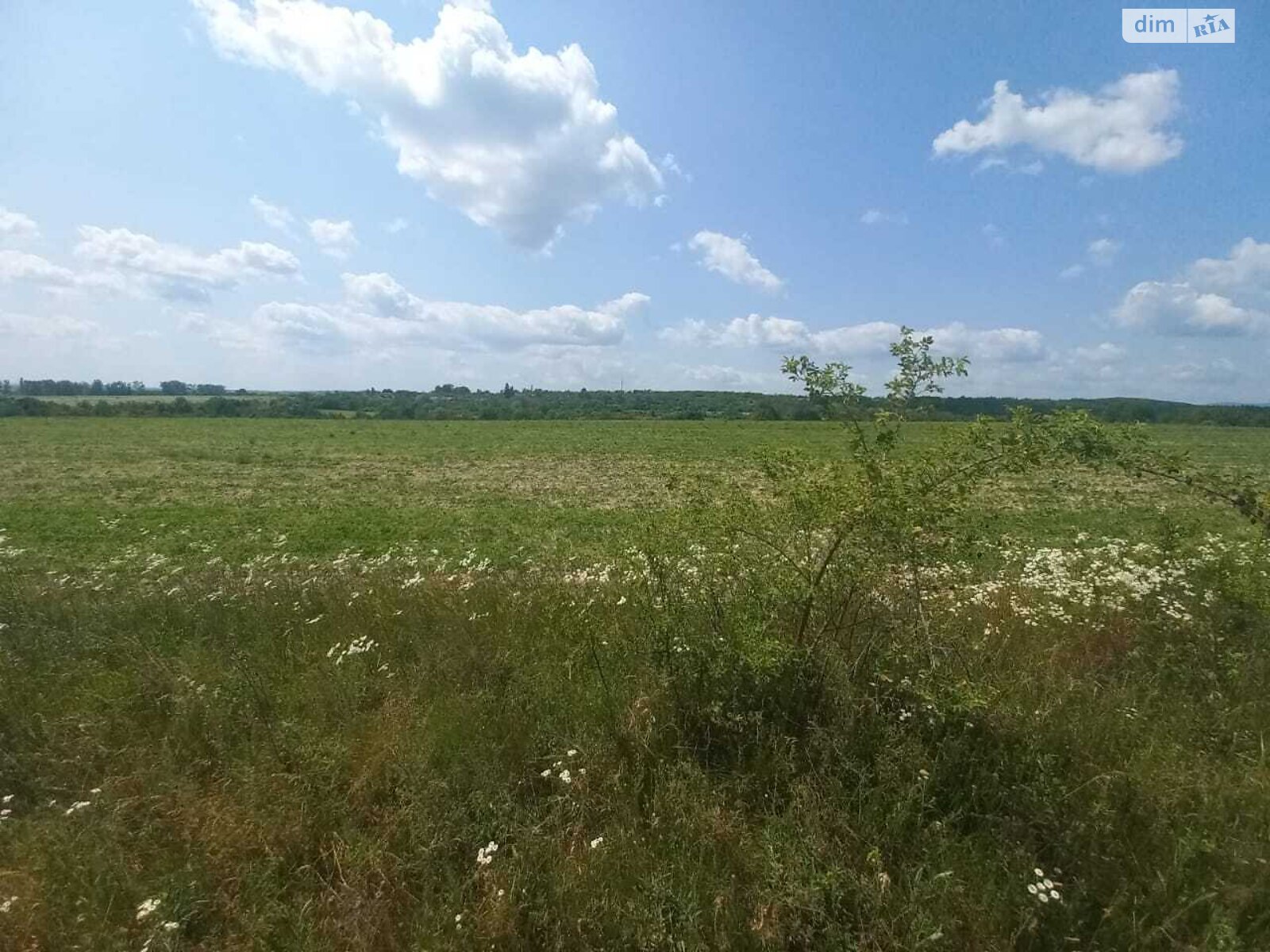 Земельна ділянка сільськогосподарського призначення в Кальнику, площа 600 соток фото 1 Земельна ділянка сільськогосподарського призначення в Кальнику, площа 600 соток фото 1