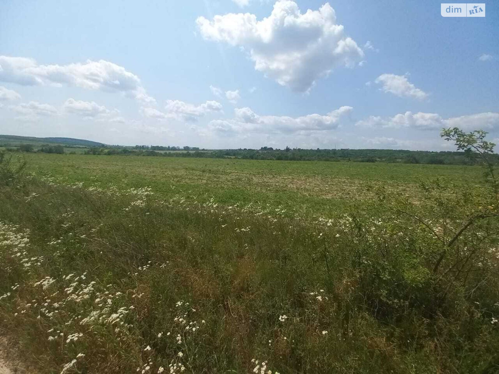 Земельна ділянка сільськогосподарського призначення в Кальнику, площа 600 соток фото 1 Земельна ділянка сільськогосподарського призначення в Кальнику, площа 600 соток фото 1
