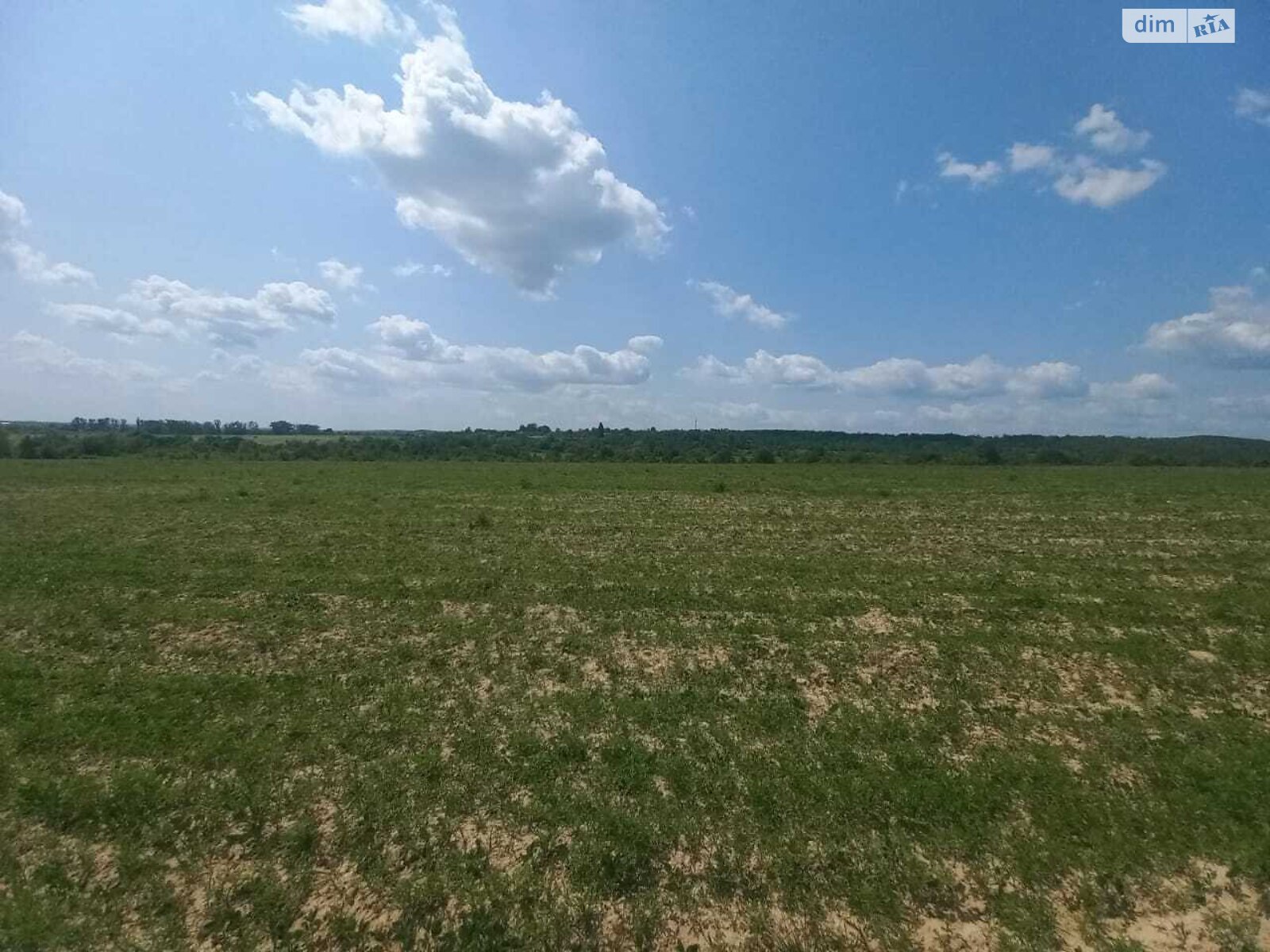 Земельна ділянка сільськогосподарського призначення в Кальнику, площа 600 соток фото 1 Земельна ділянка сільськогосподарського призначення в Кальнику, площа 600 соток фото 1