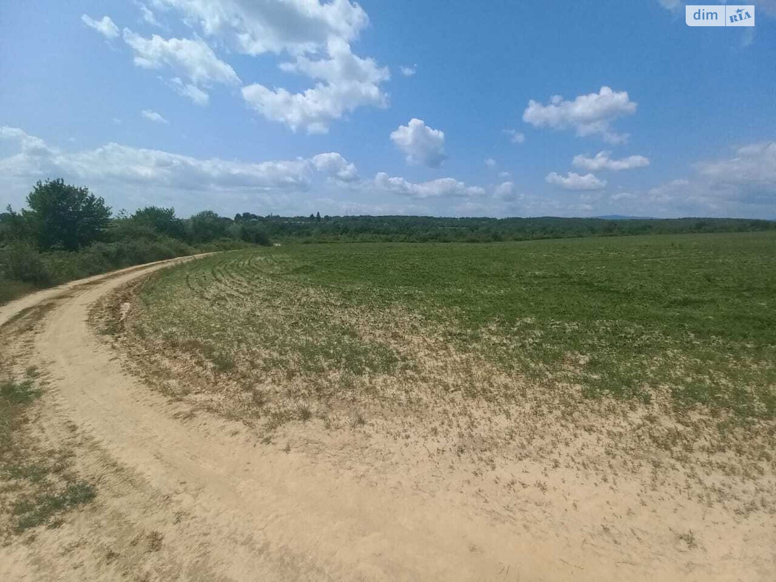Земельна ділянка сільськогосподарського призначення в Кальнику, площа 600 соток фото 1 Земельна ділянка сільськогосподарського призначення в Кальнику, площа 600 соток фото 1