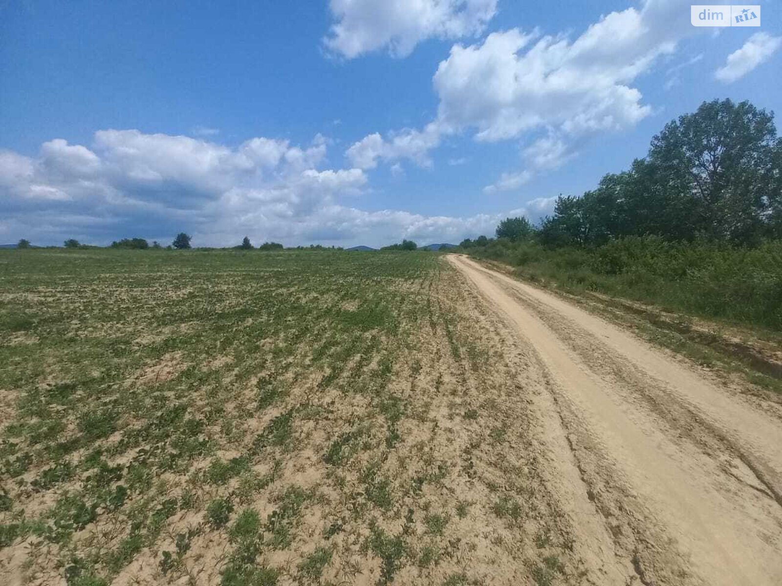 Земельна ділянка сільськогосподарського призначення в Кальнику, площа 600 соток фото 1 Земельна ділянка сільськогосподарського призначення в Кальнику, площа 600 соток фото 1